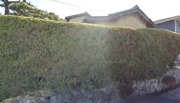 NtckonsarutantsuZhu Ji Shu Yan Jiu Suo Subete - みよし市