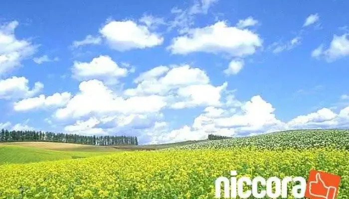 OKit's Okada Itサポート - 三浦郡葉山町