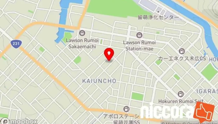 の地図 リコージャパン㈱ 留萌事業所 オフィス機器製造業者 で 留萌市