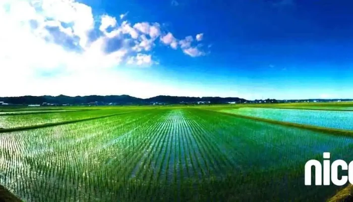 Sato Design Studio 合同会社 - 富谷市