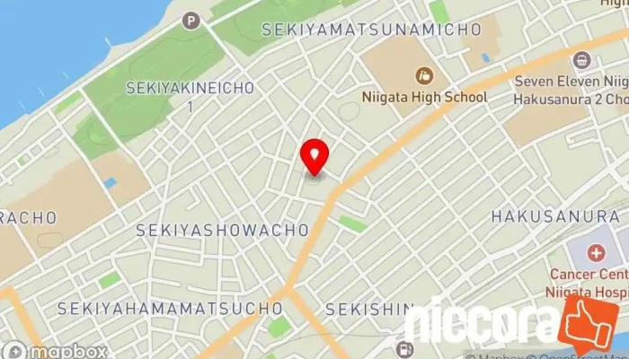 の地図 スマホオーダーシステム 株式会社ドリームイノベーション ソフトウェア企業 で 新潟市