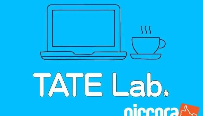 Tate Lab. - Japan