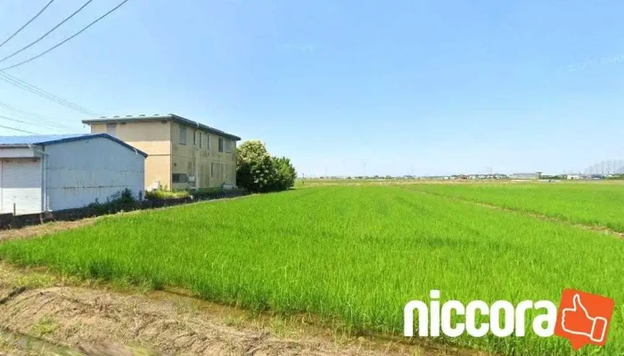 まなざしのデザイン - 碧南市竹原町