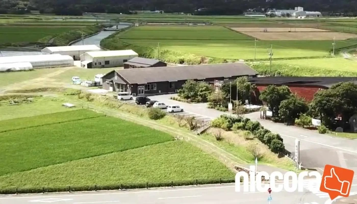 ツグクリエイト 壱岐事務所 - 壱岐市