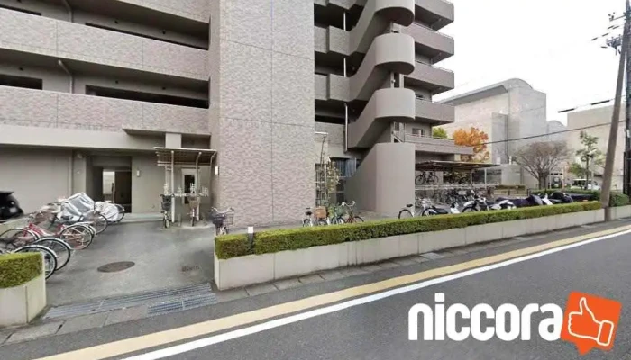 ナインライブズ株式会社 - 栗東市