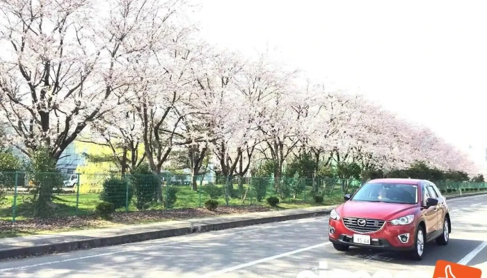 マーレエンジンコンポーネンツジャパン㈱ 鶴岡工場 - 鶴岡市