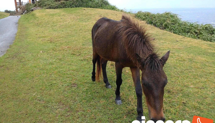 与那国島 - 沖縄県
