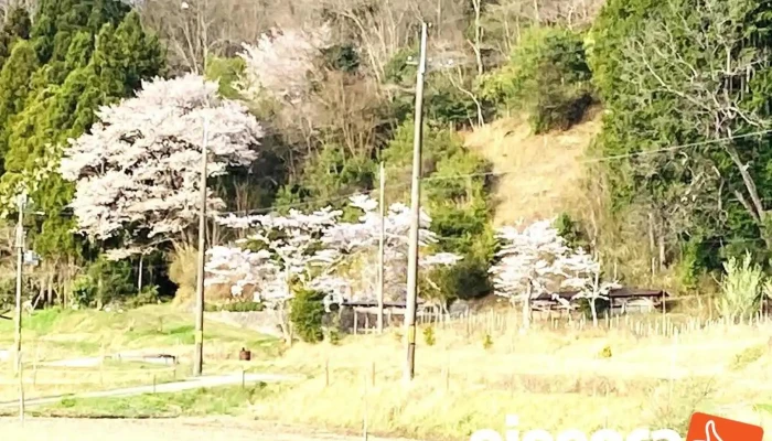 創業支援 販路戦略コンサルタント - 三田市