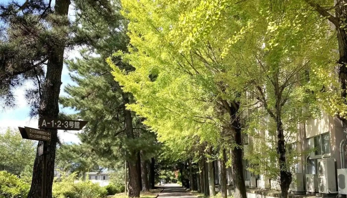 山梨大学 甲府キャンパス - 甲府市