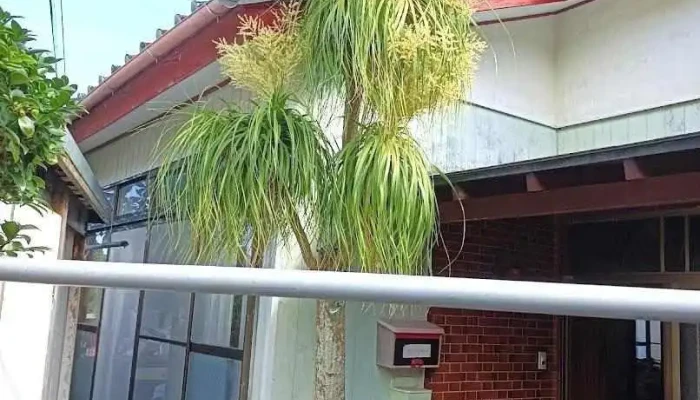 (有)種子島総合事務機 - 西之表市
