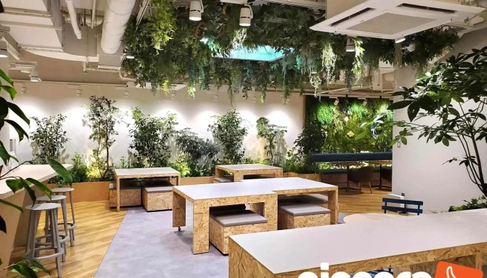 株式会社 Riitt - 大阪府貝塚市