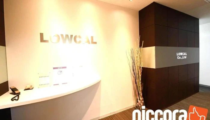 株式会社lowcal - 渋谷区