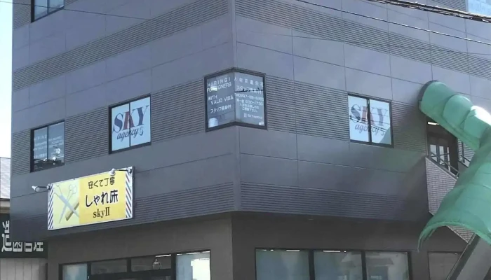 株式会社SKYagency - 龍ケ崎市