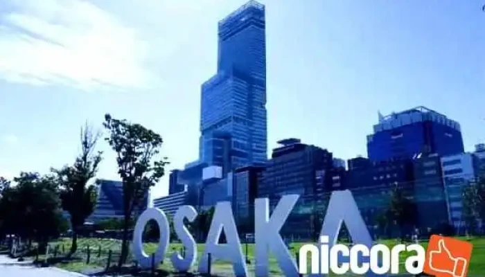 株式会社アノテ - 大阪府大阪市