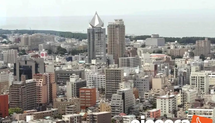 株式会社メディケアネット - 新潟市
