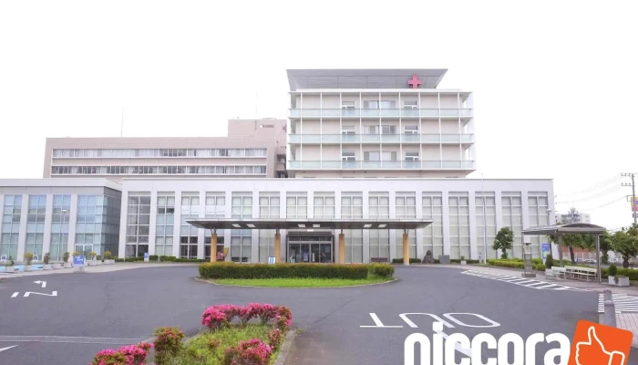 水戸赤十字病院 - 水戸市