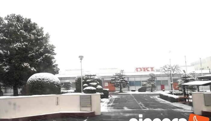 沖電気工業 富岡工場 - 富岡市