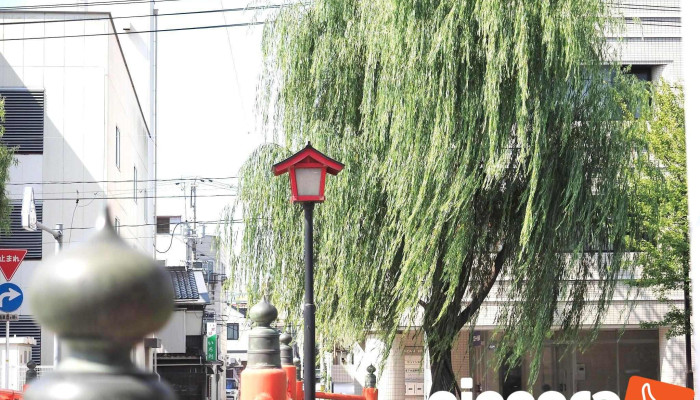 社会保険労務士法人moyorino - 鳥取市