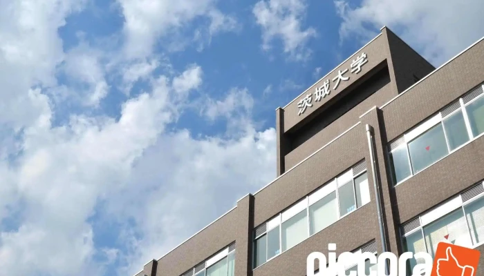 茨城大学 - 水戸市