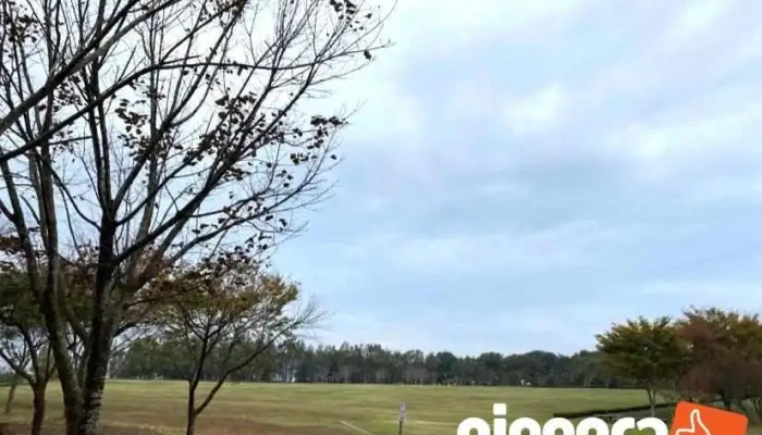 茨城県水郷県民の森 - 潮来市