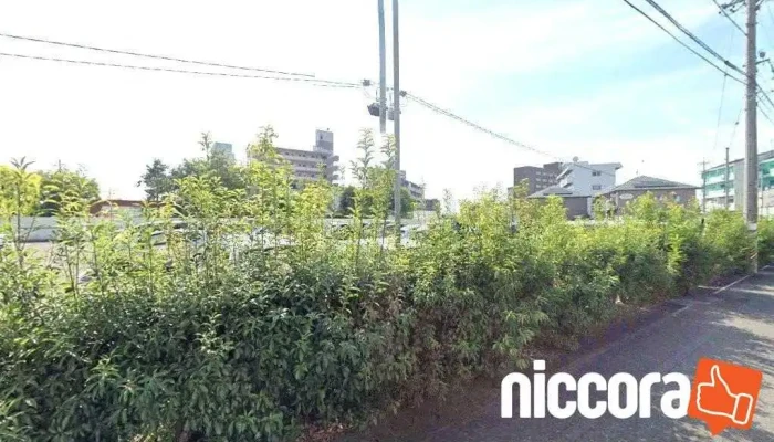 （株）新技術グローバルコンサルティング - 羽島市
