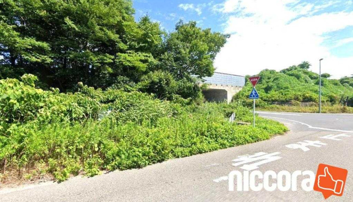 （株）新研基礎コンサルタント - 新潟市