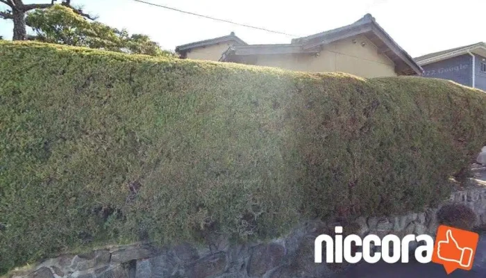 Ｎｔｃコンサルタンツ㈱ 技術研究所 - みよし市